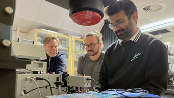 Ludvig Edman, Ajay Kumar Poonia och Nicolò Maccaferri vid Institutionen för fysik samarbetar inom WISE.