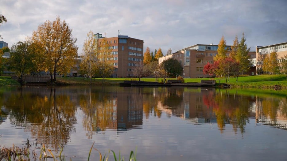 Gå till sida EU vill stärka polarforskningssamordning med bas i Umeå 
