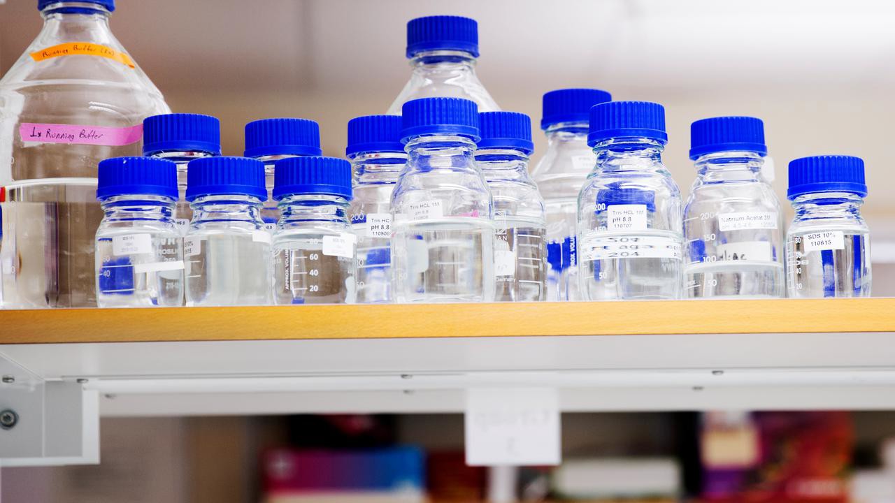 Studenter som läser civilingenjörsprogrammet i bioteknik labbar.