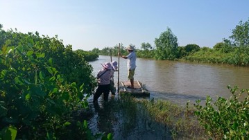 Blue carbon ecosystems are intimately connected to society, such as these mangrove forests located in shrimp farm aquaculture in northern Vietnam.