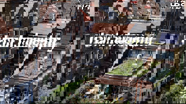 Video: 