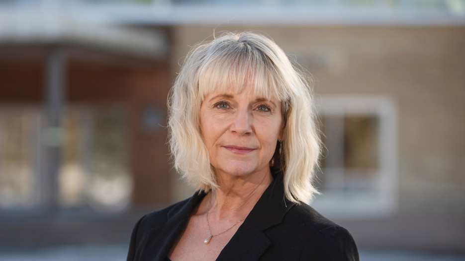 Malin Eriksson
Professor vid Institutionen för socialt arbete