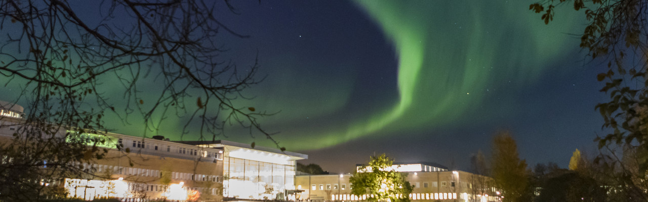 Norrsken över campus den 13 oktober 2016.