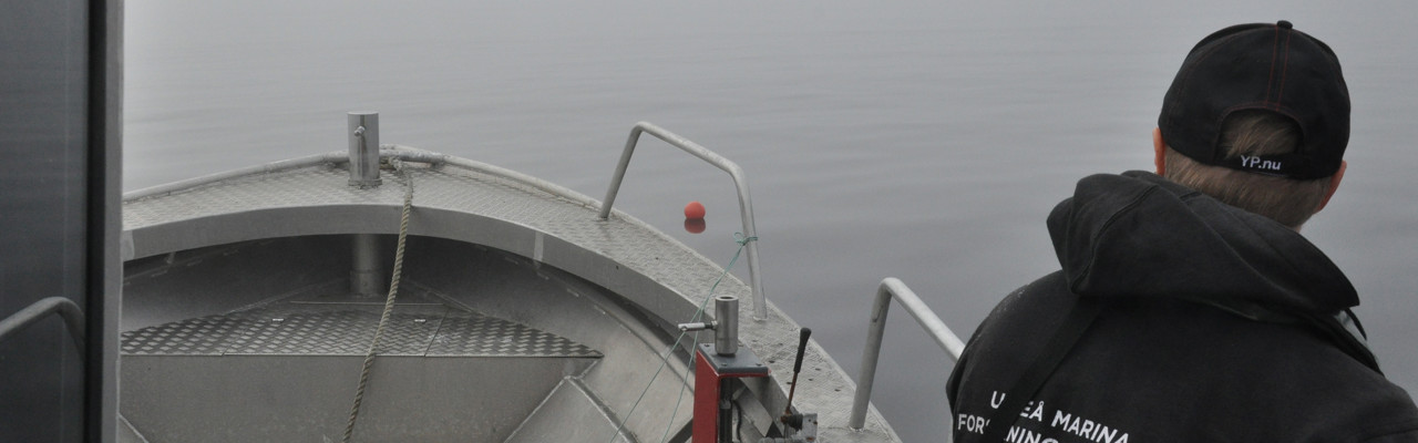 Umeå marina forskningscentrum utför varje år provfiske i Norrbyskärgården/Örefjärden på uppdrag av Länsstyrelsen i Västerbottens län och SLU, institutionen för Akvatiska resurser. Provfisket är en del i ett rikstäckande program med ett 20-tal provfiskeområden i Egentliga Östersjön och Bottniska viken. <br/>I bild: Katarina Konradsson