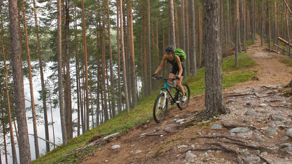 A person cycling on a esker ridge in a pine forest. Below is a river.