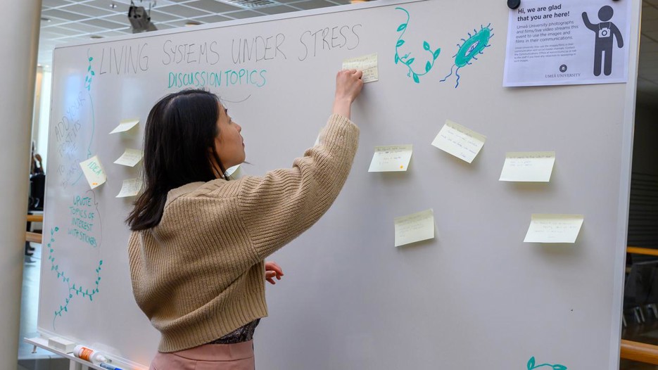 En kvinna som fäster en post-it på en whiteboard