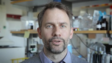 Film: Mattias Forsell