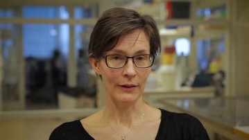 Film: Åsa Gylfe