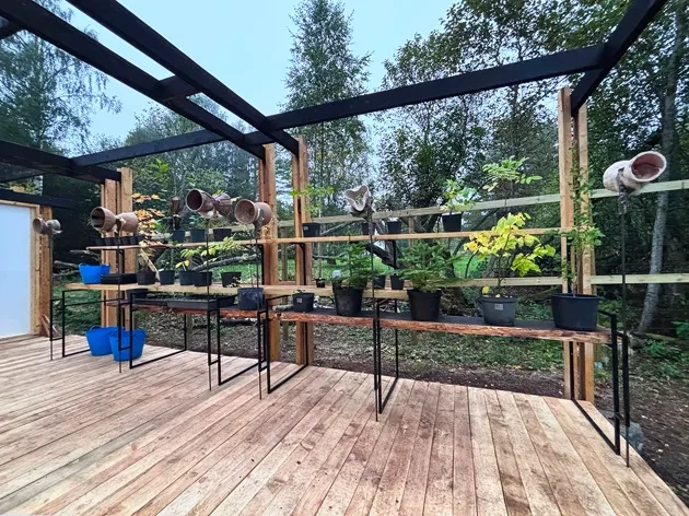 En träkonstruktion med hyllor och blommor.