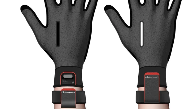 Within Arm's Reach records, preservs and makes accessible the way humans use their hands to create things.
