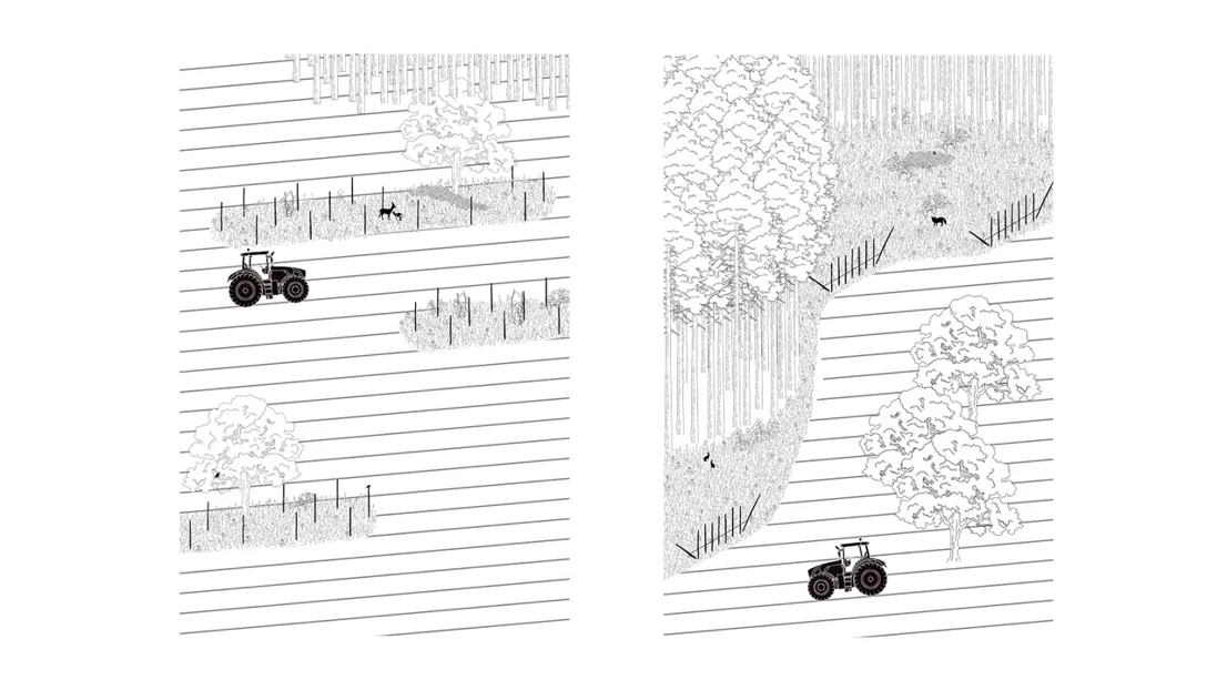 Illustration by student