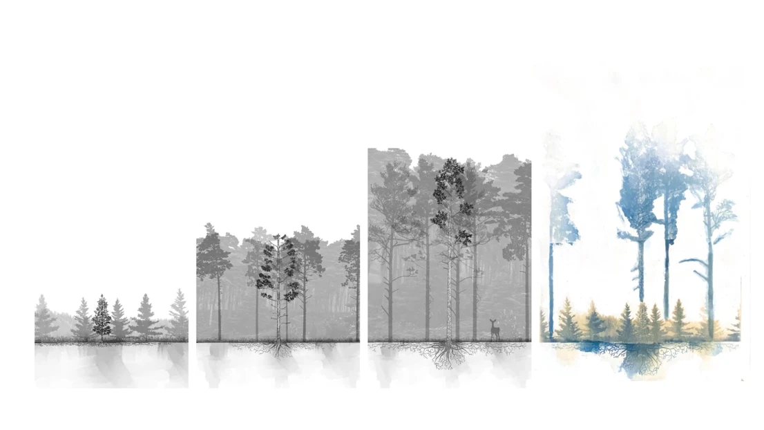 Sketch from thesis work