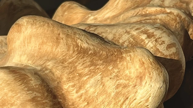 Skulpturalt föremål