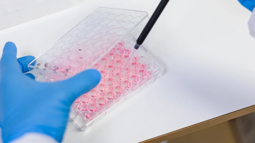 Anna Överby Wernstedt