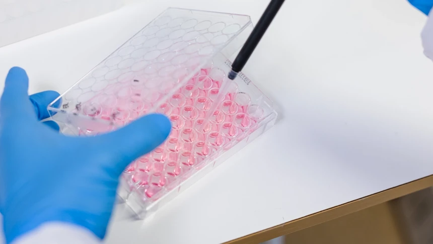 Anna Överby Wernstedt