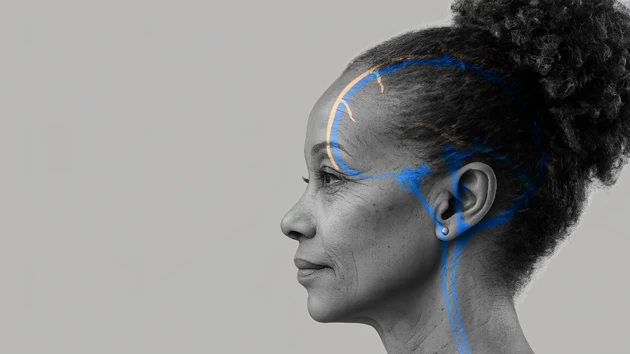 David Bertl Teaser Image