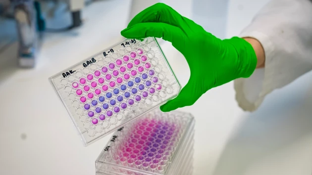 Person with a green glove holding a tray of samples in a lab environment.