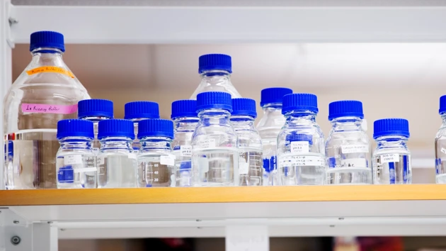 Empty jars on a shelf in a lab.