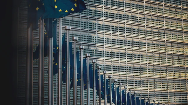 EU flags in a line the foreground and a large building in the background.