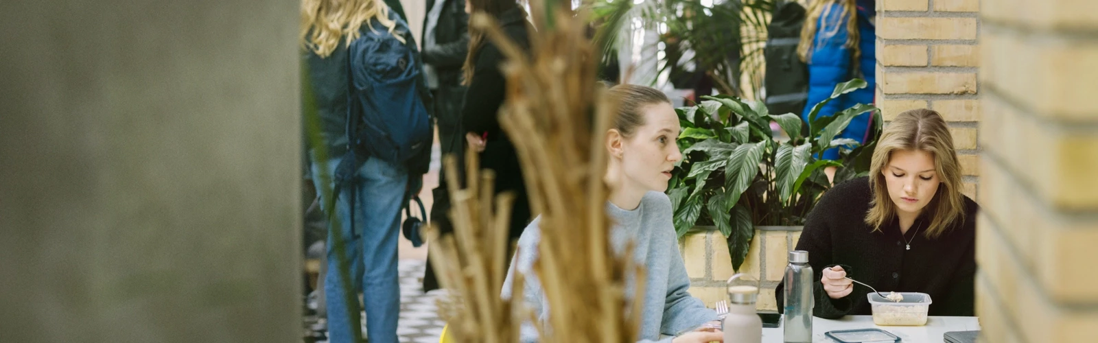 Umeå Universitet, Beteendevetarhuset.  Studenter pluggar och äter lunch.