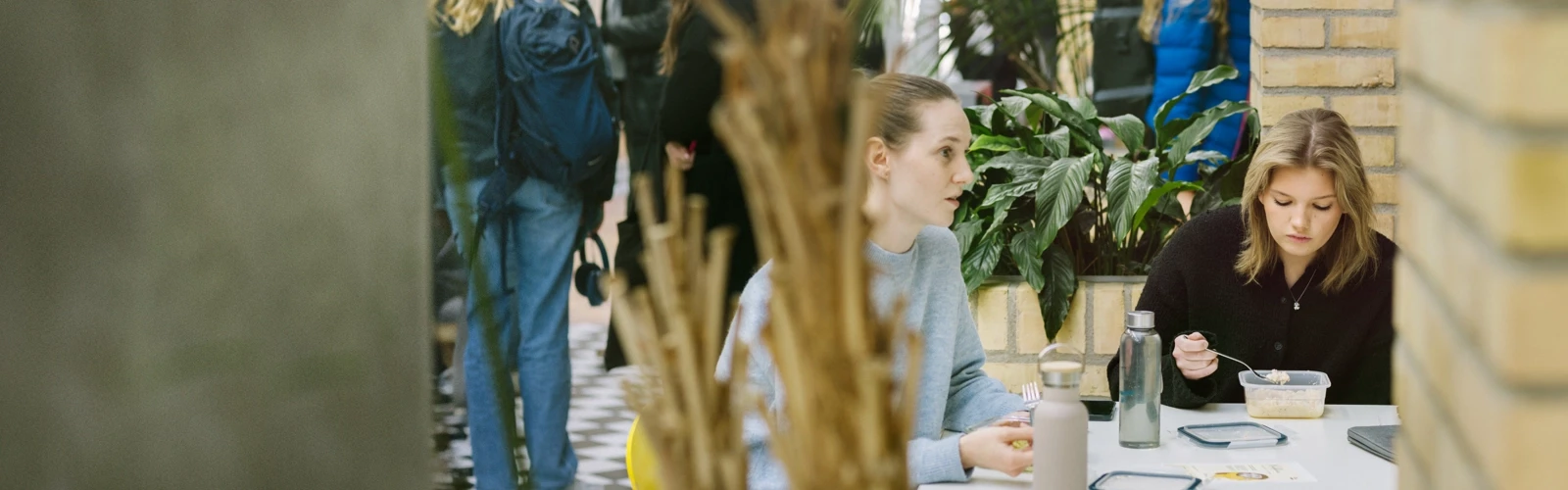 Umeå Universitet, Beteendevetarhuset.  Studenter pluggar och äter lunch.