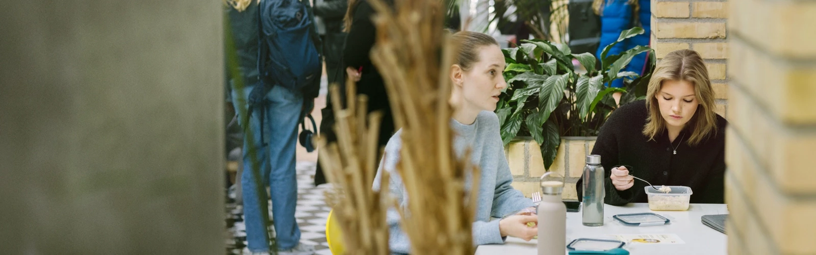 Umeå Universitet, Beteendevetarhuset.  Studenter pluggar och äter lunch.