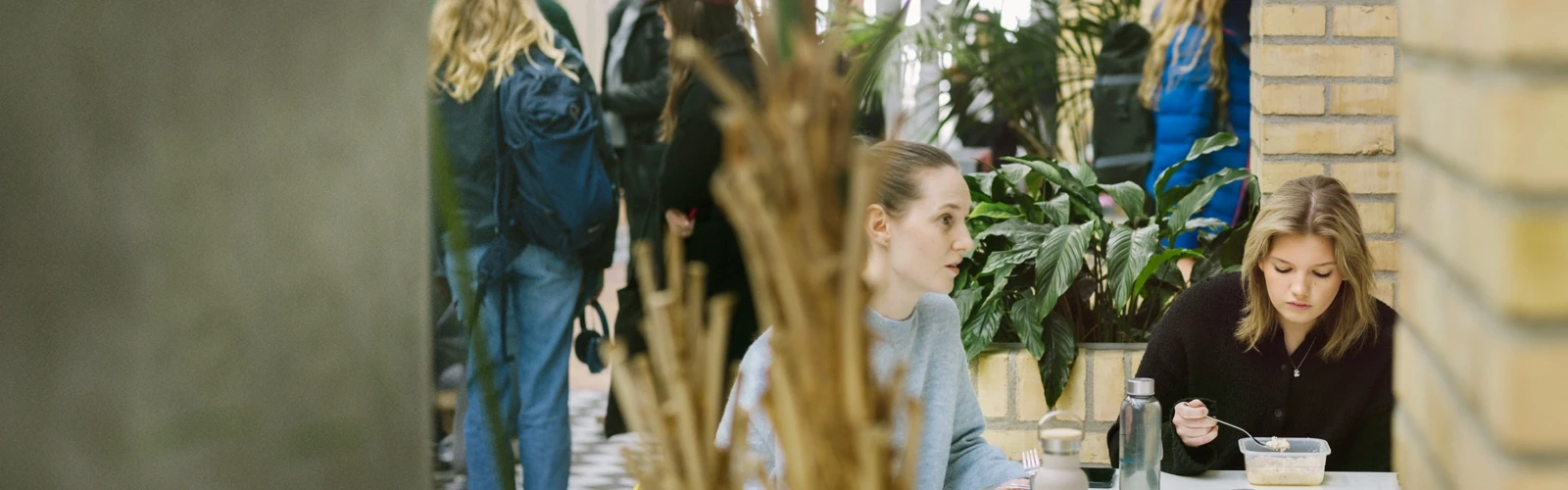 Umeå Universitet, Beteendevetarhuset.  Studenter pluggar och äter lunch.