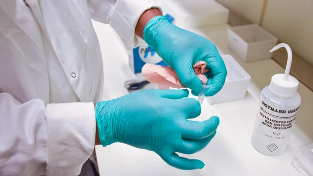 Photo of hands in gloves working on samples in a chemistry lab