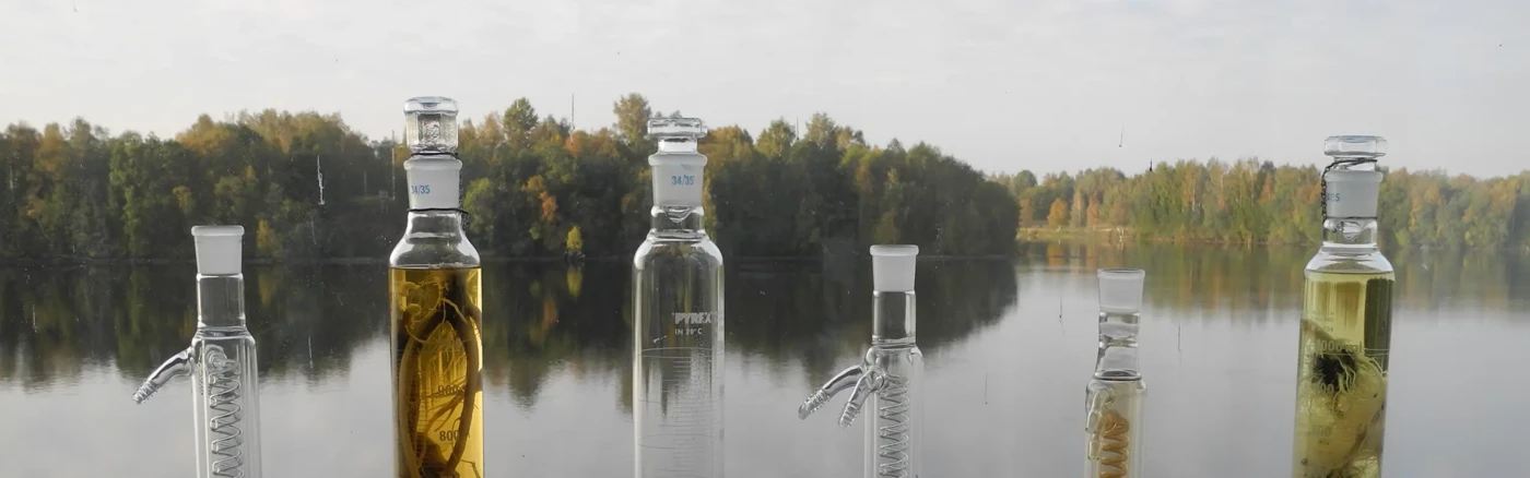 Test tubes containing plant roots stand in the window, the river outside.