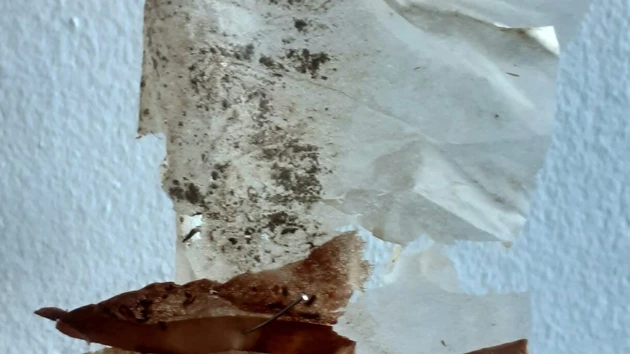 Utställningsaffisch