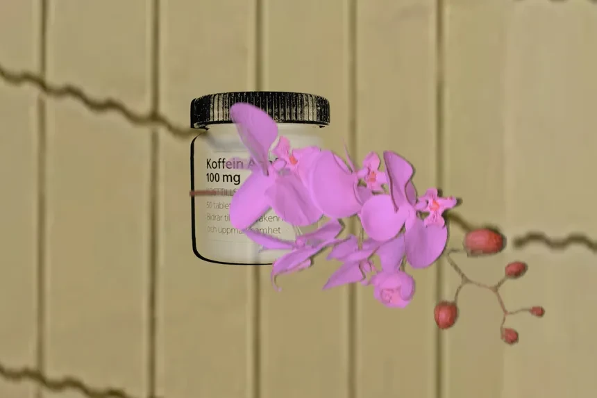 Rosa blomma med medicinburk i bakgrunden