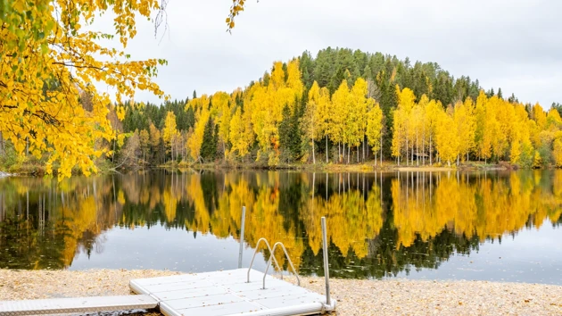 Bild på badbrygga vid Umeälven