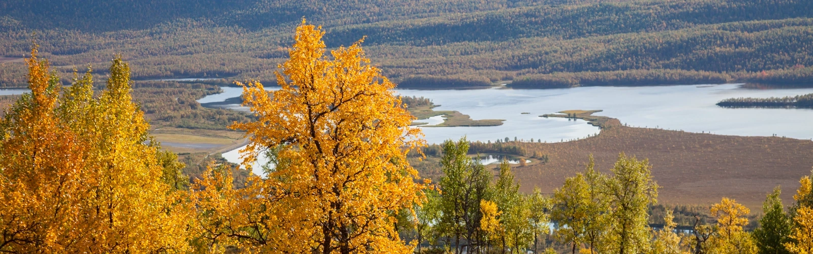 Landskapsvy över fjäll med höstfärger.