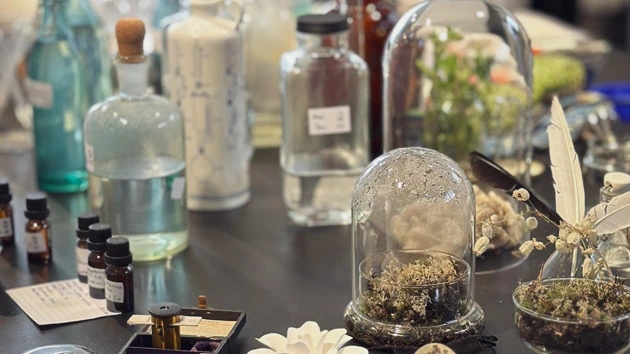 Natarsha Bates exploring how scent chemicals move through ecologies and how climate change disrupts these invisible exchanges. 