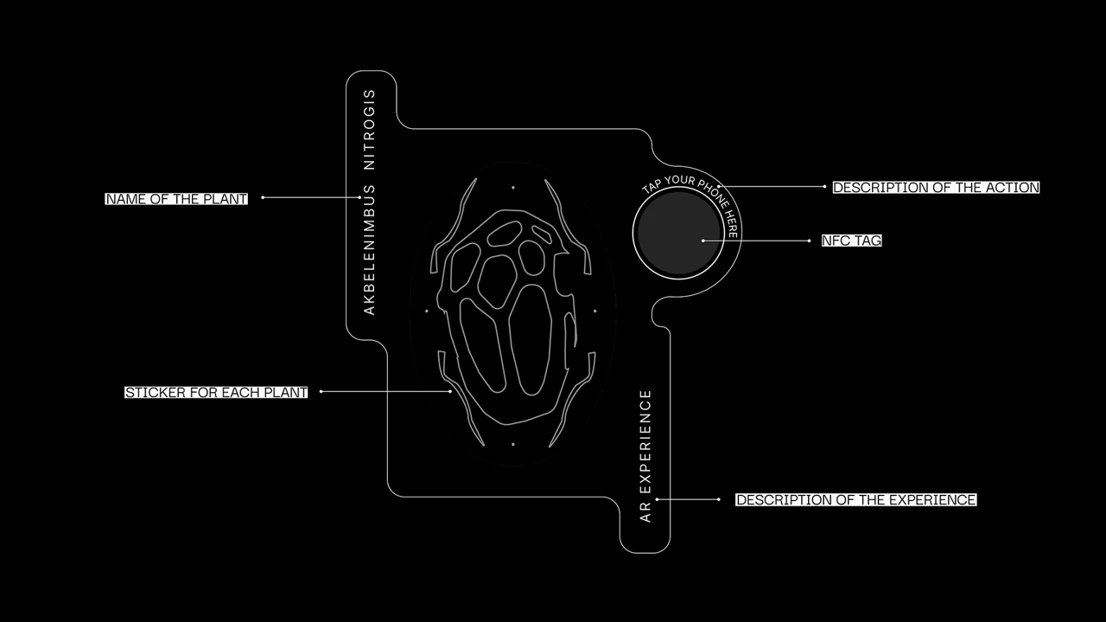 Dide Sevinçok – Rooted