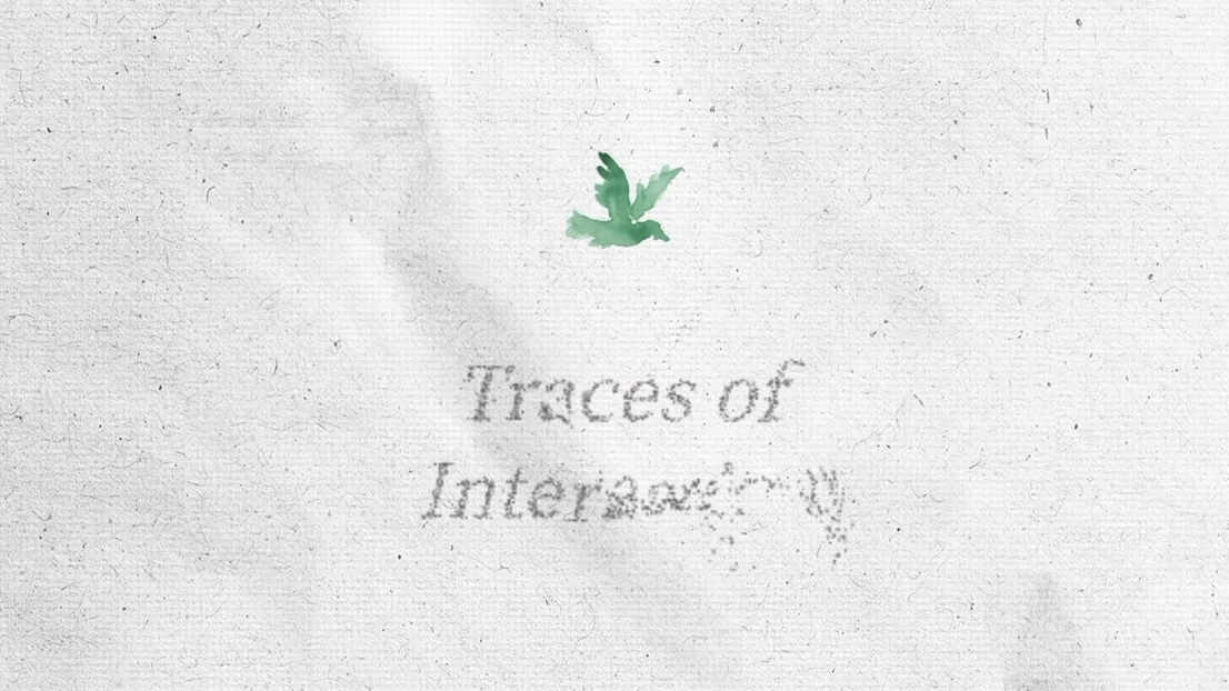 Lin Wang – Traces of interaction