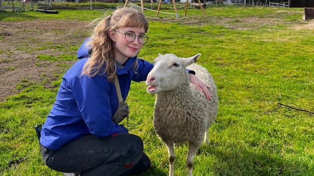 A student down next to a sheep on a lush green field.