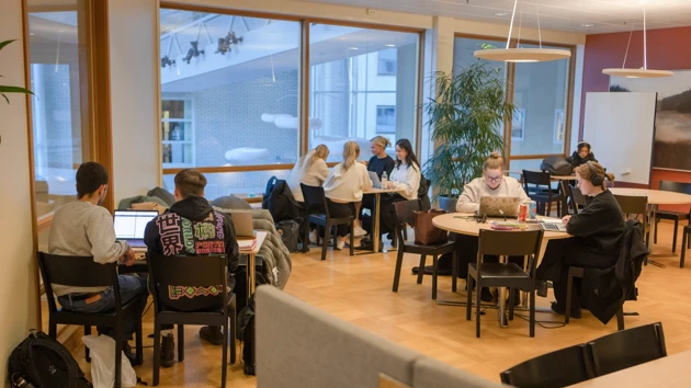 Students sitting at tables in the student area at Betula (former Medical Library)