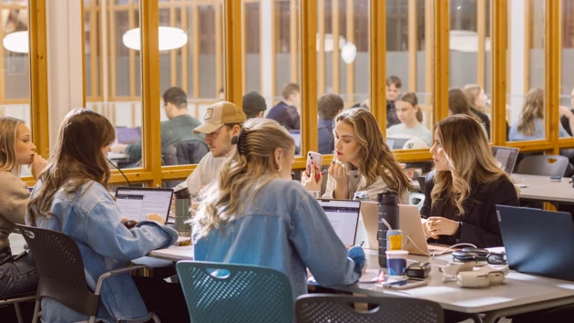 Studenter som sitter framför datorer.