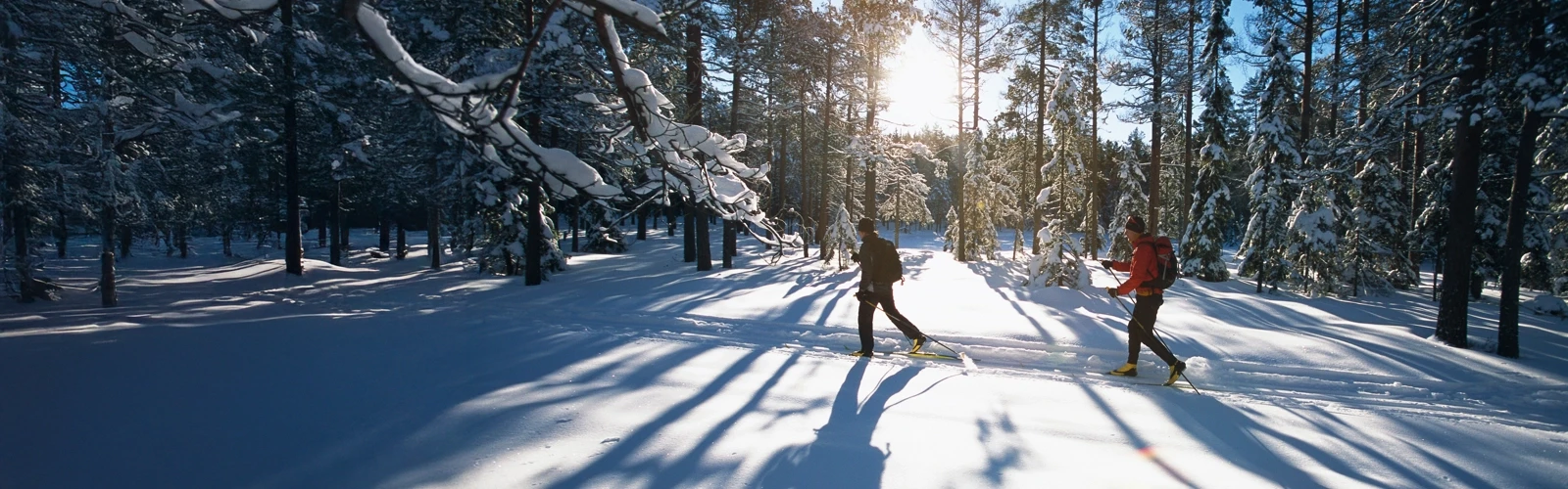 Två längdskidåkare