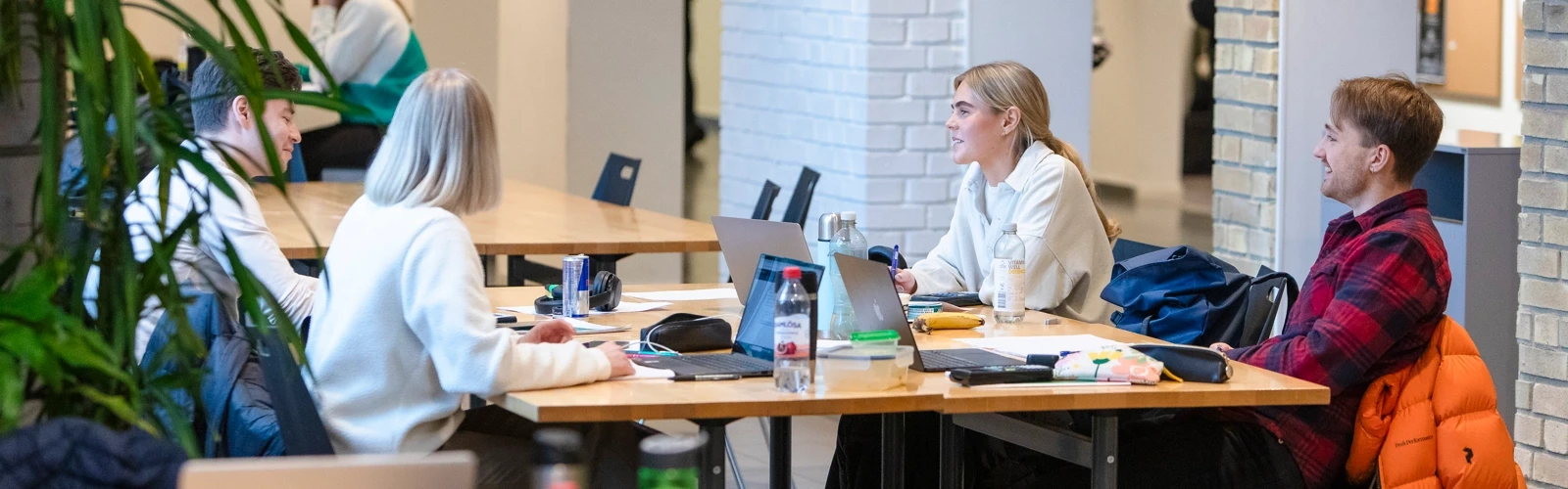 Studenter som grupparbetar i Naturvetarhuset.