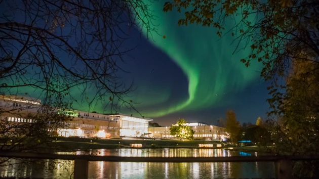 Video: Top 7 reasons to choose Umeå University