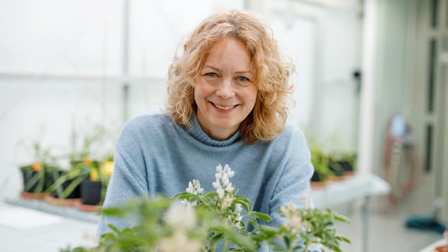 Åsa Strand,  professor vid Institutionen för fysiologisk botanik
