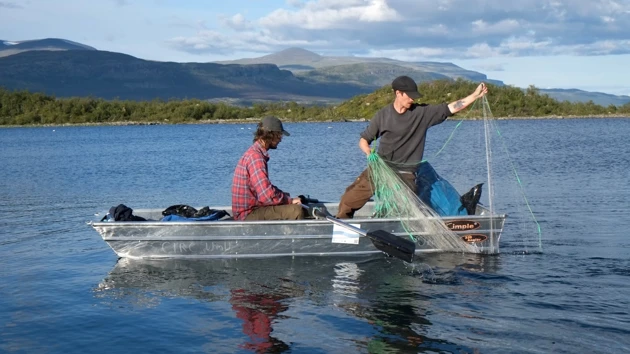 Bild på två män i en roddbåt som tar upp fiskenät