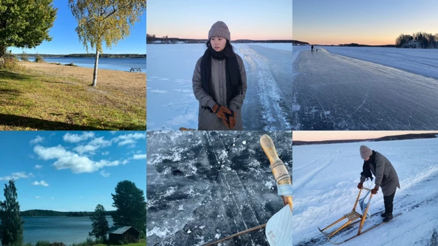 A collage of photos of a person shoveling snow.