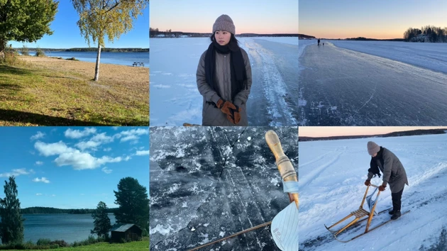 A collage of photos of a person shoveling snow.