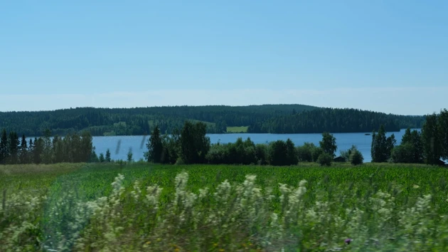 A field with a lake in the background.