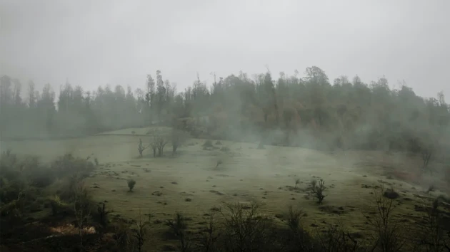 The luxury of absence