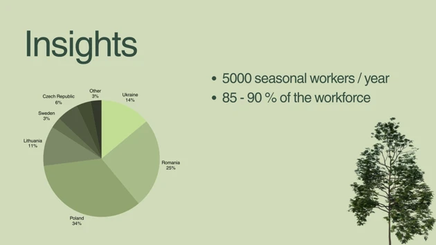 A pie chart with a tree in the middle of it.