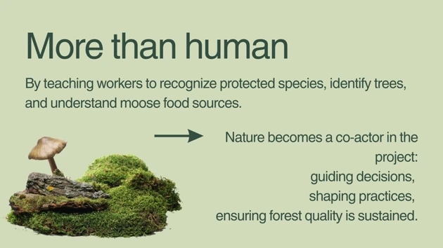 A mushroom sitting on top of a moss covered rock.